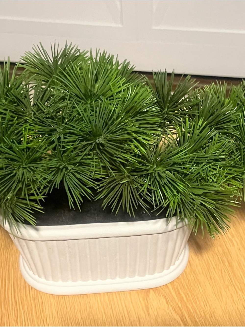 Threshold White Ceramic Planter with Lush Green Faux pine bonsai
